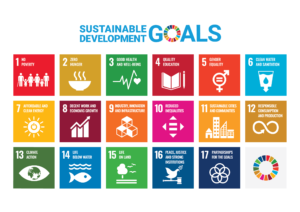 Envoys, SDGs, United Nations, Sustainable Development Goals